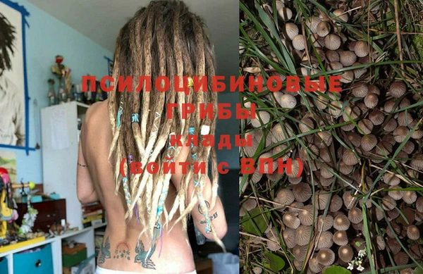 прущий лед Белокуриха