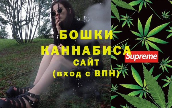 прущий лед Белокуриха