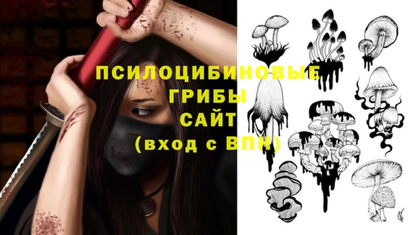 прущий лед Белокуриха